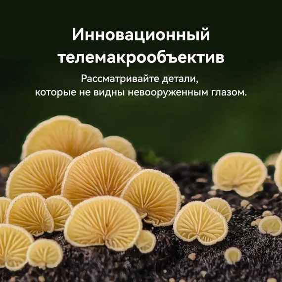 Смартфон HUAWEI Pura 70 Pro 12/512 White