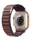 Умные часы Apple Watch Ultra 2 49 мм Cell, Natural Titanium, Indigo Alpine Loop - M