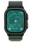 Умные часы Apple Watch Ultra 2 49 мм Black Titanium Case with Dark Green Alpine Loop - L