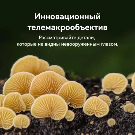 Смартфон HUAWEI Pura 70 Pro 12/512 Black