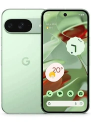 Смартфон Google Pixel 9 12/128Gb Wintergreen