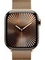 Умные часы Apple Watch Series 10 GPS + Cellular 42 мм Gold Titanium Case with Gold Milanese Loop