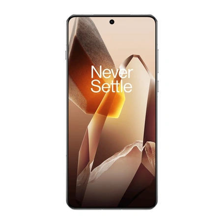 Смартфон OnePlus 13 12/256 Arctic Dawn