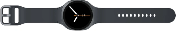 Умные часы Samsung Galaxy Watch 8 40мм LTE Graphite