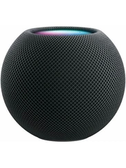 Умная колонка Apple HomePod mini, серый космос