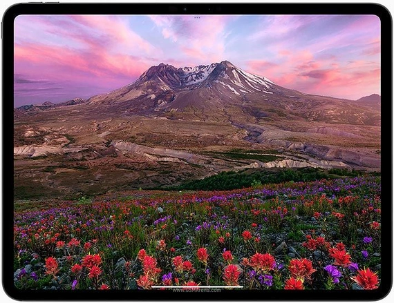 13" Планшет Apple iPad Pro 13 M5(9 CPU, 10 GPU) 12/256 5G Silver