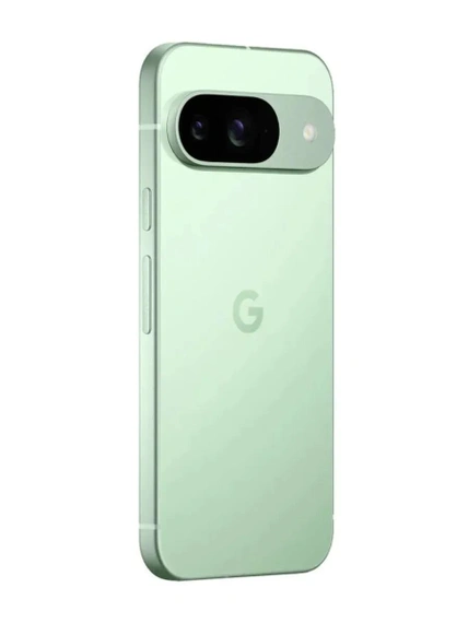 Смартфон Google Pixel 9 GUR25 12/256Gb Wintergreen