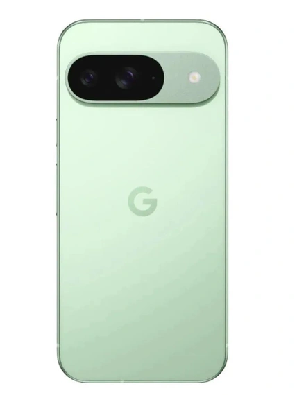 Смартфон Google Pixel 9 GUR25 12/256Gb Wintergreen