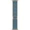 Умные часы Apple Watch Ultra 3 49 мм Natural Titanium Case with Light Blue Alpine Loop - M